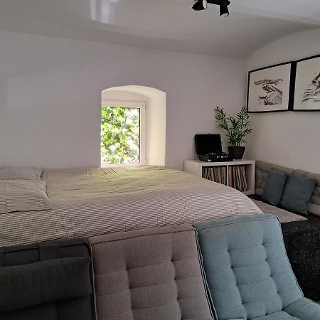 City Centar Apartman With Garden Διαμέρισμα Ζάγκρεμπ Εξωτερικό φωτογραφία