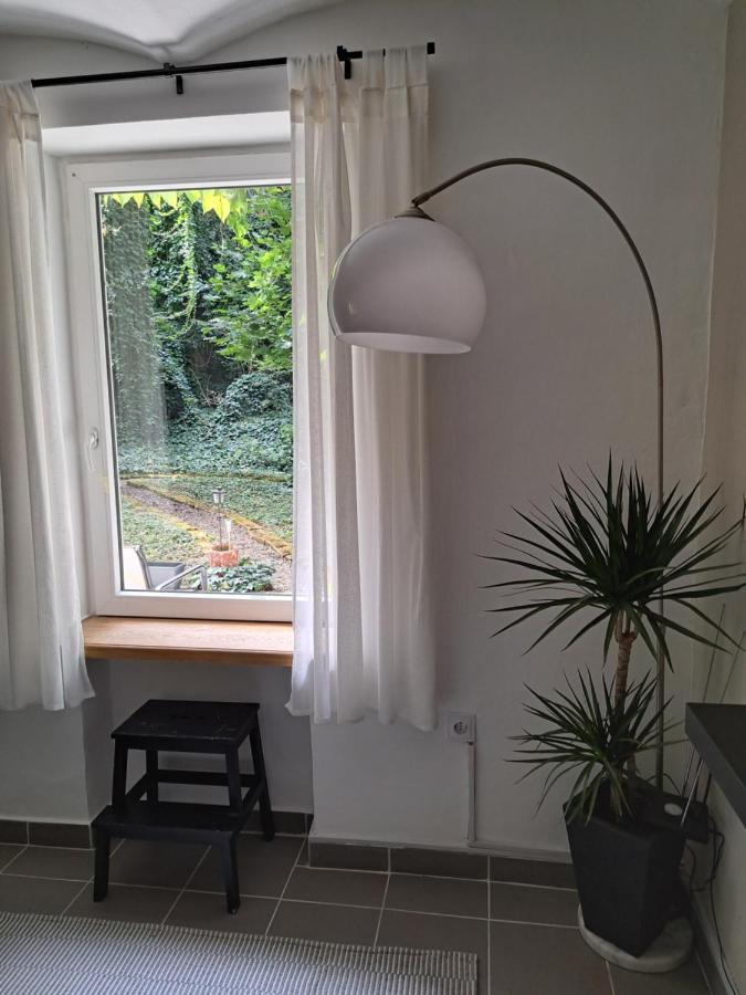 City Centar Apartman With Garden Διαμέρισμα Ζάγκρεμπ Εξωτερικό φωτογραφία