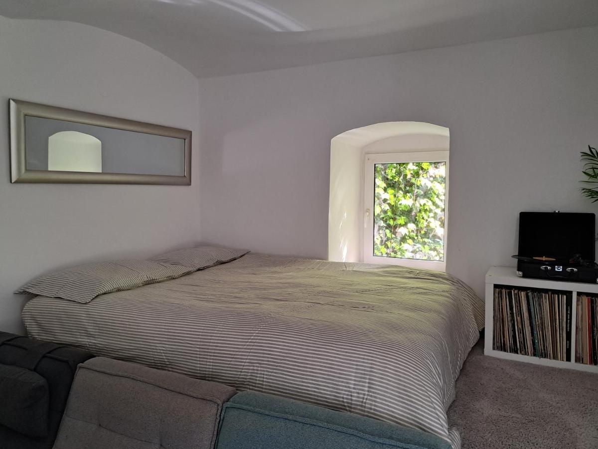 City Centar Apartman With Garden Διαμέρισμα Ζάγκρεμπ Εξωτερικό φωτογραφία