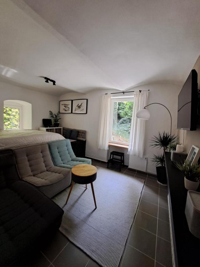 City Centar Apartman With Garden Διαμέρισμα Ζάγκρεμπ Εξωτερικό φωτογραφία