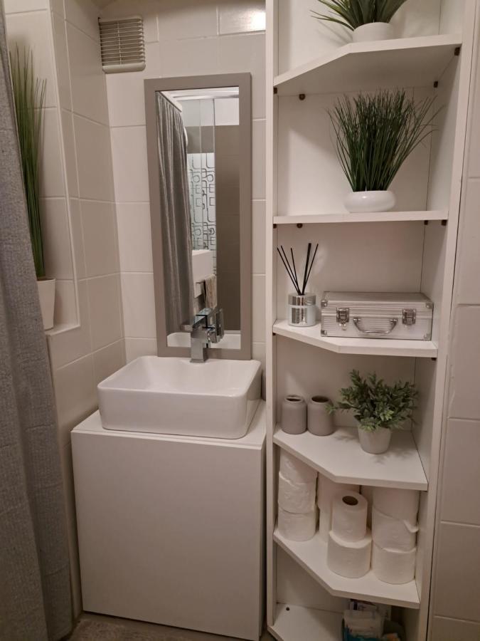 City Centar Apartman With Garden Διαμέρισμα Ζάγκρεμπ Εξωτερικό φωτογραφία